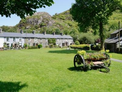 Bryn Cilio Villa เบดด์เกอเลิร์ท ภายนอก รูปภาพ